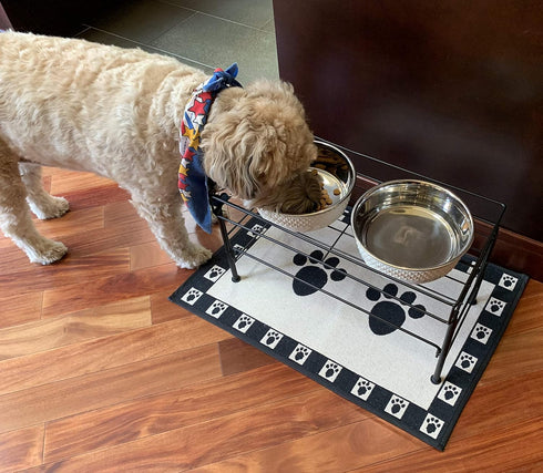 PetRageous Kona Stainless Steel Dog Bowl - 6.5-Cup Non-Slip, Dishwasher Safe, 8.5-Inch Diameter for Large Dogs