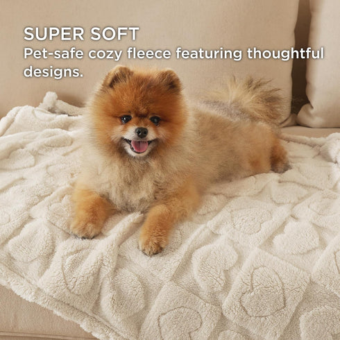 Bedsure Dog Blanket for Medium Dogs, Washable Soft Fluffy Puppy Blanket with Premium Coral Fleece, Cozy Calming Cat