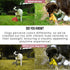 35" Flirt Pole for Dogs Heavy Duty - Multi-Sensory Tough Chase Toy for Medium & Large Breeds Extra Strong Dog Teaser