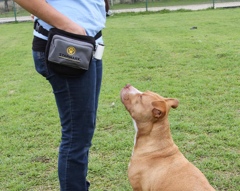 Triple Crown Pro Training Quicker Clicker Device for Fast Click Pet Dog
