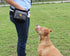 Triple Crown Pro Training Quicker Clicker Device for Fast Click Pet Dog