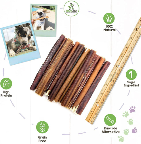 Nature Gnaws Large Bully Sticks for Dogs 5-6" (15 Count), Thick Long Lasting Natural Beef Chew Bones