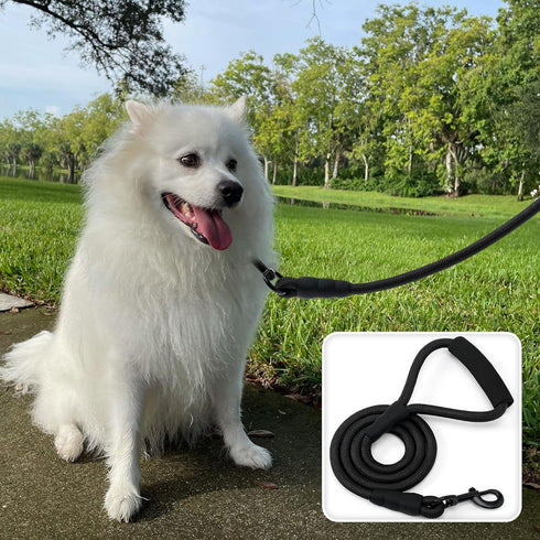 Mile High Life Dog Leash, Comfortable Padded Handle, Black Nylon Rope Heavy Duty 6 Feet Leash