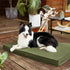 Lesure Outdoor Waterproof Dog Beds for Large Dogs, Washable with Oxford Fabric Surface, Orthopedic Foam Pet Bed,