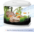 Aqueon Mini Flat Heater – Submersible Small Aquarium Heater for up to 5 Gallon Aquariums, 10 Watts