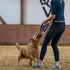 Herm Sprenger Jute Dog Tug Toy - Training Tool with 2 Handles for Interactive Play, Tough Tug of War (Medium)