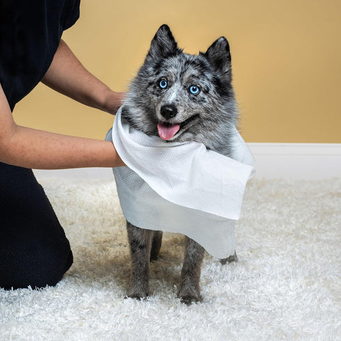 Himmy Large Pet Wipes for Dogs and Cats - 12" x 18" Bath Wipes for Cleaning, Deodorizing, Anti-Itch Grooming