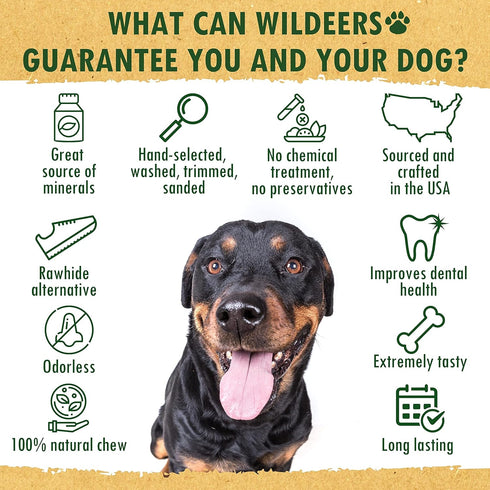 Wildeers Elk Antlers for Dogs Large, 3-Pack, Naturally Shed, Grade A, 7-9 inch Long Lasting Treats for Aggressive