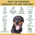 Wildeers Elk Antlers for Dogs Large, 3-Pack, Naturally Shed, Grade A, 7-9 inch Long Lasting Treats for Aggressive