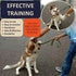 Prong Collar for Dogs - Adjustable Quick-Release Metal Buckle Pinch Collar, Stainless Steel Choker Collar (L/Neck Girth