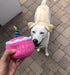 Plush Birthday Dog Toys - Pink Birthday Cake Toy with Squeaker for Small, Medium, and Large Dogs