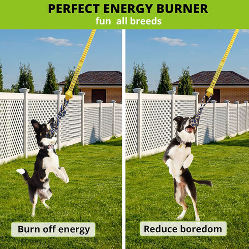 2 Dog Hanging Bungee Tug Toy: Interactive Tether Tug-of-War for Pitbull Small to Large Dogs to Exercise and Fun Solo
