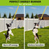 2 Dog Hanging Bungee Tug Toy: Interactive Tether Tug-of-War for Pitbull Small to Large Dogs to Exercise and Fun Solo