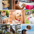 Blueberry Pet Essentials X-Small Dog Collar, Adjustable & Eco-Friendly Durable Nylon Strap, Black for Boy & Girl Pets