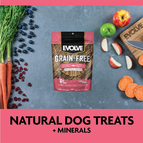 Evolve Grain Free Deboned Salmon and Sweet Potato Jerky Bites Dog Treats, 25oz