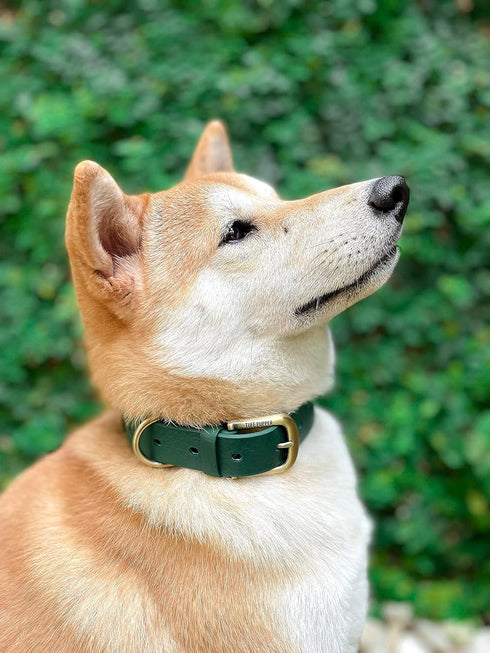 Tuff Pupper Classic Heavy Duty Dog Collar, 10x Stronger Than Leather, Waterproof & Odor Proof, Small (12-15" Neck)