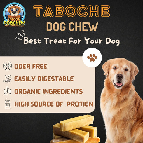 Taboche Dog Chew, Yak Cheese, All Natural & Organic, Long Lasting, Extra Large, 5.5 oz (155g) (Pack of 1)