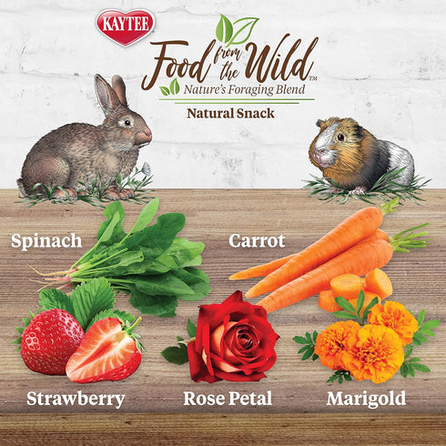 1 Kaytee Food from The Wild Natural Snack for Pet Rabbits, Guinea Pigs And Other Small Animals, Ounce