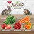 1 Kaytee Food from The Wild Natural Snack for Pet Rabbits, Guinea Pigs And Other Small Animals, Ounce