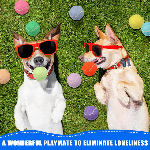 50 2.5'' Liliful Pieces Dog Squeaky Tennis Balls for Pet Playing Medium Large Dogs Puppy Balls for Training Toy