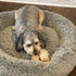 SPOT Dura-Fused Chunkies Ring Dog Toy - All Natural Leather and Felt, Durable Extra Thick Chew Toy for Aggressive