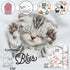 2 oz. The Blissful Cat Paw Butter, Moisturizer for Dry Paw Pads, Softens and Protects Rough Feet, Versatile, Lick-Safe