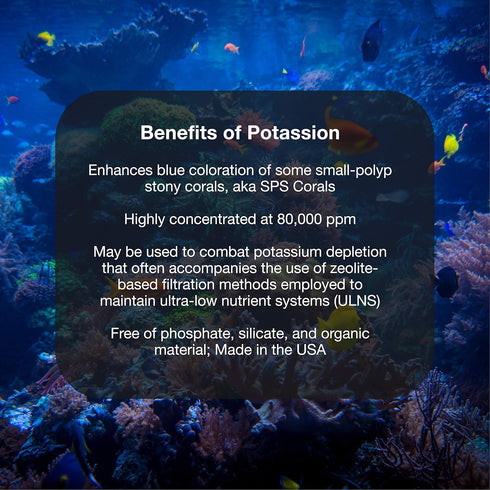 Brightwell Aquatics Potassion - Liquid Potassium Supplement for Marine Reef Fish Aquariums