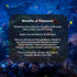 Brightwell Aquatics Potassion – Liquid Potassium Supplement for Marine Reef Fish Aquariums – 500-ml
