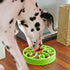 Slow Feeder Dog Bowl, Anti-Choking, Help Prevent Bloat, Non-Toxic BPA Free Feeding Dish SH-10303, Green