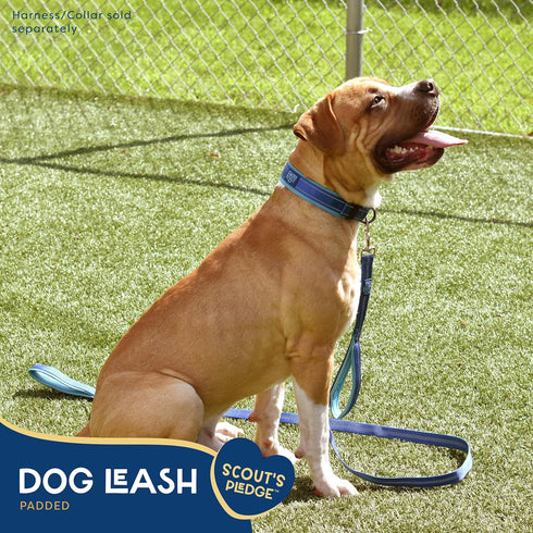 Good Scout Padded Handle Dog Leash, Durable Walking & Training Leash for Puppies & Adult Dogs with 2 Handles, Blue/Sky