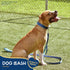 Good Scout Padded Handle Dog Leash, Durable Walking & Training Leash for Puppies & Adult Dogs with 2 Handles, Blue/Sky