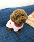 Puppy Dog Clothes Winter Sweater Warm, Flannel Velvet Pet Cat Cute Fruit Fleece Teddy Bichon Pomeranian Small Dog, Ideal Gift for Pet on Christmas (Medium, Strawberry)