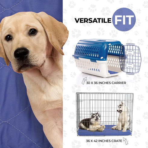1 500 35X51-2 Pack Becks USA Made Reusable Pet Pee Pads for Dog & Cat Pee Problems, Advanced Leak Free Design, Color