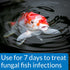 API POND PIMAFIX Antifungal Pond Fish Infection Remedy, 64-Ounce Bottle