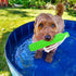 Dog Water Toy, Interactive Fetch Toys Float for Training, Outdoor Fun for Small Medium Large Dogs