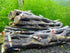 Natural Cholla Wood for Aquarium Decoration, Shrimp and Fish Tank (4 Inch, 5 Pack)