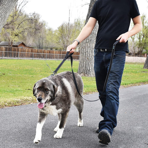 Wagtime Club Soft & Thick Dual Handle Dog Leash, Premium Nylon, Double Padded Handles for Medium, Large, XLarge Dogs