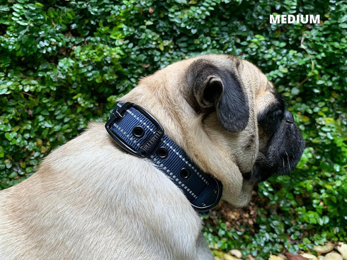 Tuff Pupper Ultra Comfort Padded Dog Collar, Thick Neoprene Padding with Reflective Stitching and Durable Metal Buckle