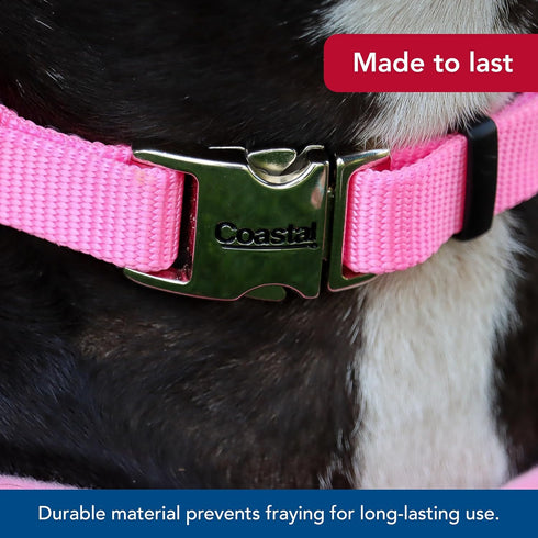 Coastal Pet Adjustable Dog Collar with Metal Buckle - Neon Pink, 1" x 18" - 26"