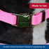 Coastal Pet Adjustable Dog Collar with Metal Buckle - Neon Pink, 1" x 18" - 26"