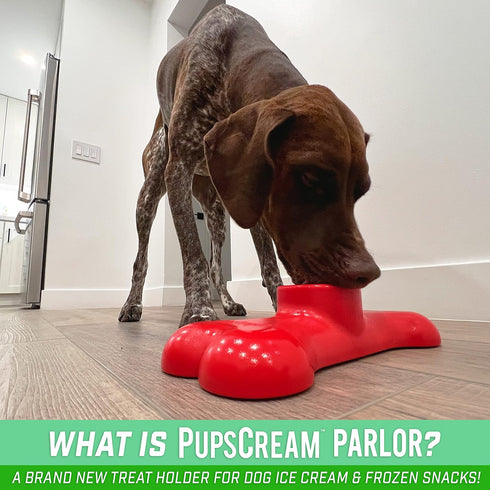 Frozen 6 GoSports Pets PupsCream Parlor - Non-Slip Dog Treat & Ice Cream Holder - Mess-Free Lick Mat Alternative