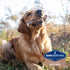 Barkworthies Medium Whole Elk Antler - 1 Count, Naturally Shed, Long-Lasting, Odor-Free
