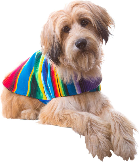 Handmade Dog Poncho from Authentic Mexican Blanket by Baja Ponchos - Blue, Large