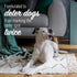 Nature's Miracle Advanced Platinum: 24 Ounces, Helps Discourage Repetitive Pet Marking
