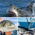 400LB Shark Rigs Stainless Steel Twin Fishing Hooks Nylon Coated Cable Leader Rigging Saltwater Sea Fishing Double Drop