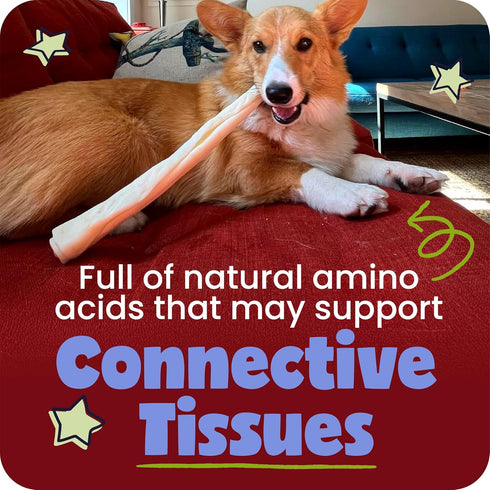 5-7" 5 Pack Pawstruck Natural Beef Collagen Sticks for Dogs Long-Lasting Rawhide Alternative, High Protein & Low Fat