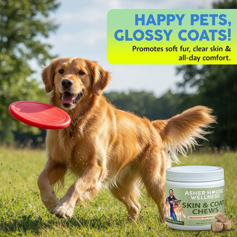 3, 6, 9, 120 Asher House Wellness Skin & Coat Chews - Dog Itching Skin Relief with Omega Fish Oil, Biotin - Dogs Itchy