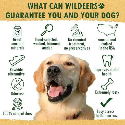 Wildeers Split Elk Antlers for Dogs, Medium 2-Pack, Grade A Antler Chews for Medium and Large Breeds, 5-7" Long