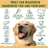 Wildeers Split Elk Antlers for Dogs, Medium 2-Pack, Grade A Antler Chews for Medium and Large Breeds, 5-7" Long