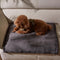 Kritter Planet Waterproof Blanket for Dogs, Pee Proof Sherpa Fleece Reversible Cover for Couch or Bed